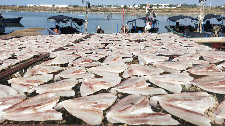 冬季，正是腌制晾晒海魚的好時候，海南漁民也進入“魚干晾晒季”。柯維龍攝