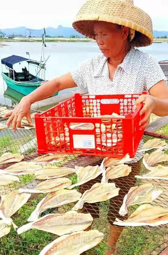 天氣好的時候，一天半的時間就能晒成魚干，漁民就會把晒好的魚干收集起來送到加工車間打包。柯維龍攝