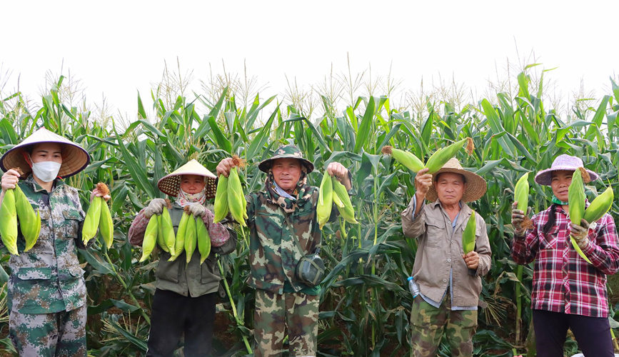 村民们在田间展示收获的玉米。冯定坤摄