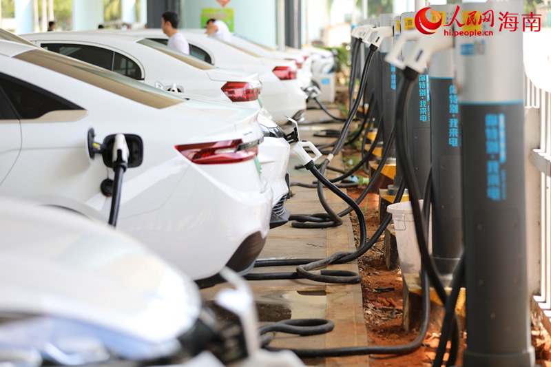 新能源汽车数量猛涨 椰城“桩主”更忙了
