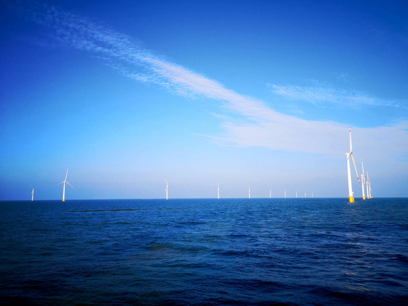 海南洋浦海上风电产业园正式开工