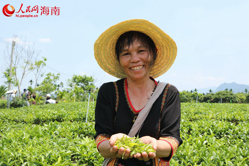 茶農笑開顏。人民網符武平攝