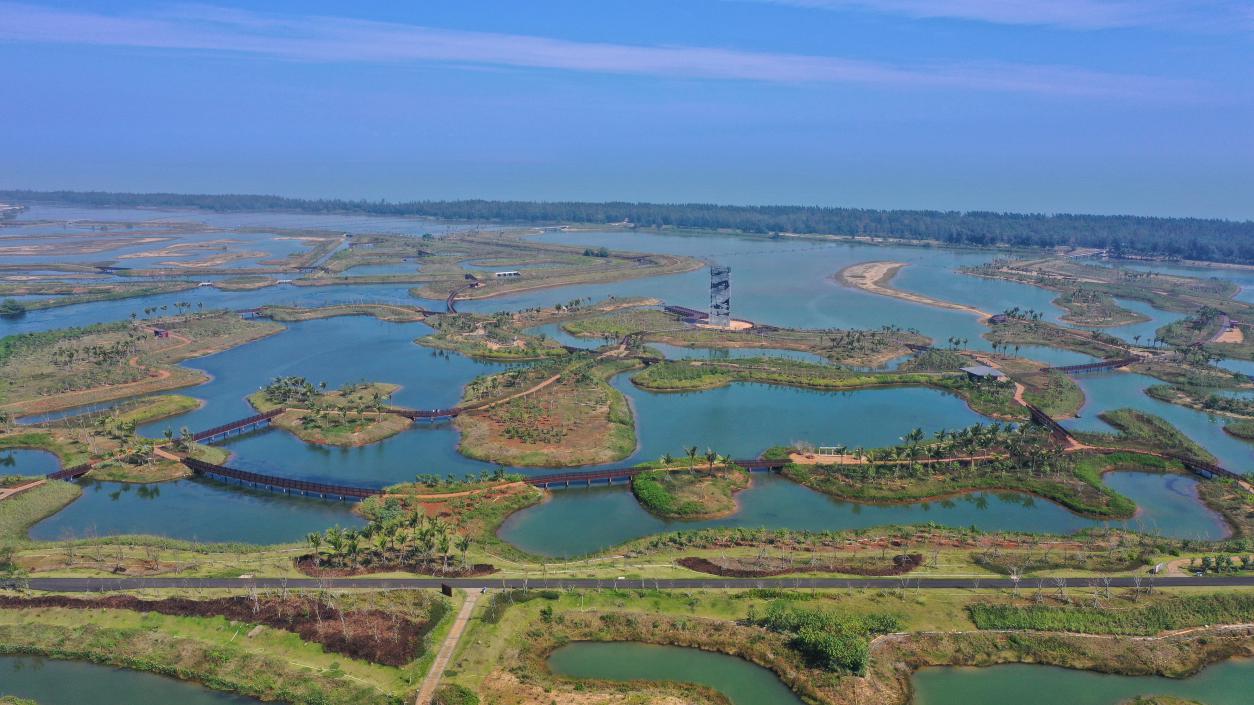 海口江东新区迈雅河湿地公园河清岸绿美景如画