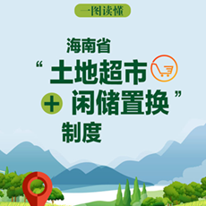 一图读懂海南省“土地超市+闲储置换”制度