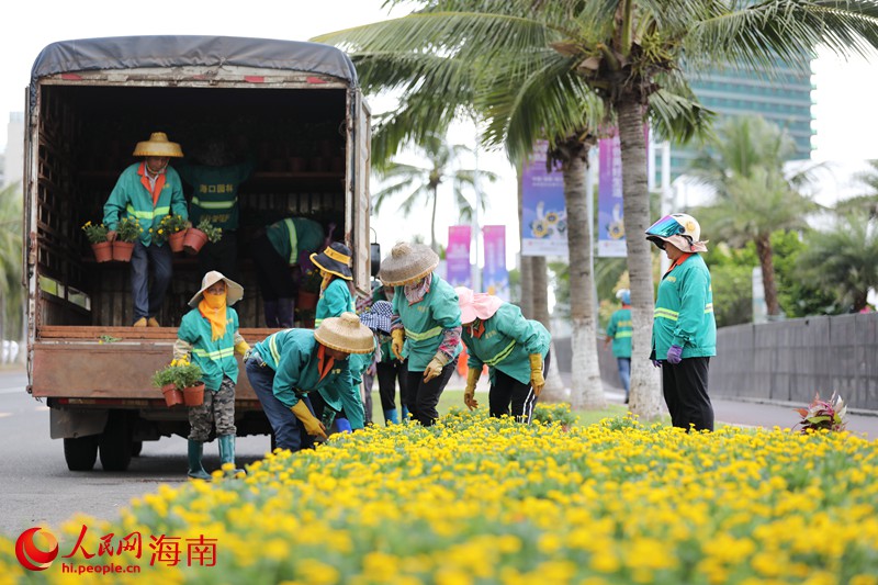 园林工人正在摆放新的花卉。人民网 符武平摄