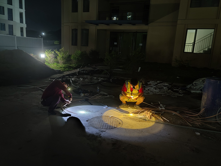 挑灯夜战。彭瑞摄