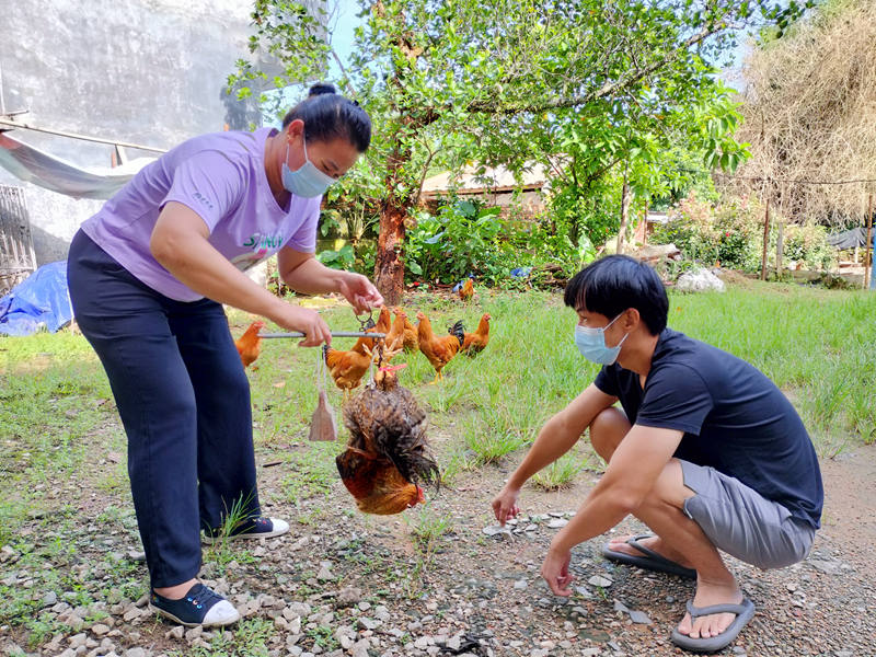图3：双联双扶单位县国投公司发动干部职工主动购买陈益明养殖的阉鸡。