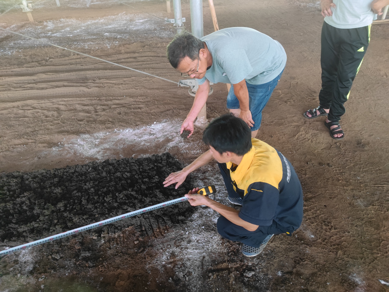 晟延公司技术人员现场指导农户铺设蚯蚓床育苗。