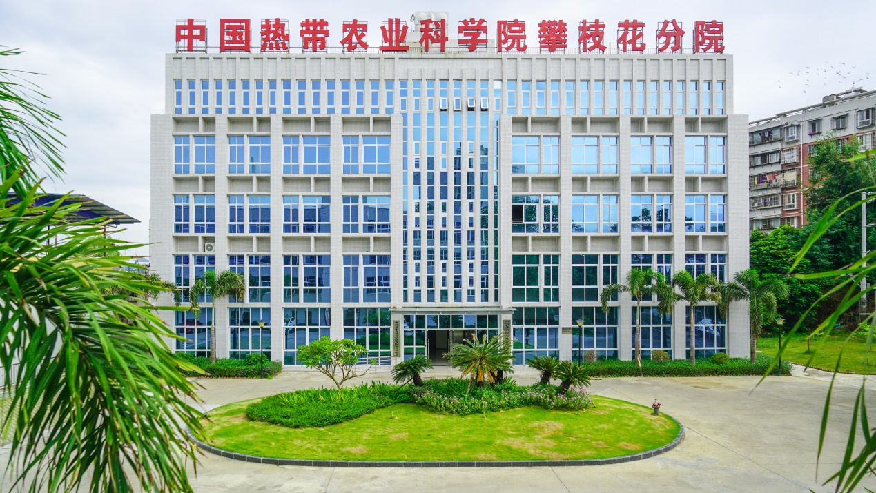 中國熱帶農業科學院四川攀枝花研究院。