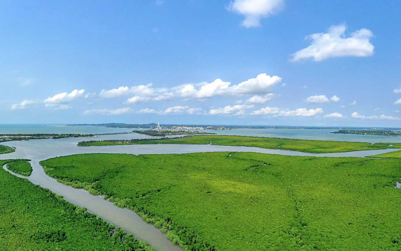 海口江東新區持續推進生態文明建設，“綠色成果”遍地開花。海口江東新區管理局供圖