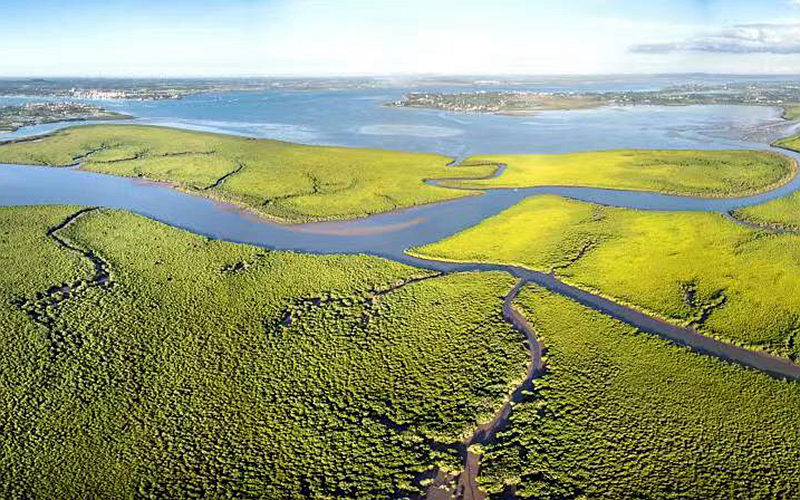 海南南持续加大湿地保护修复力度，建成一批湿地公园