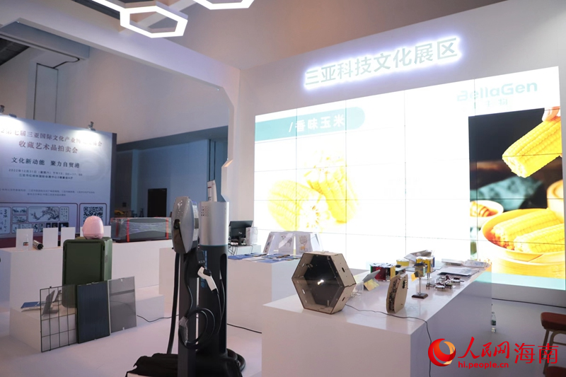 三亚科技文化展区展出众多科技展品。人民网 牛良玉摄