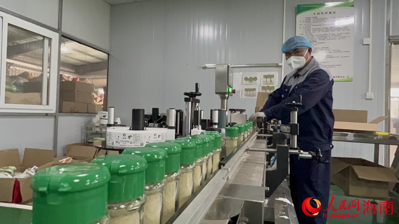 工人在生产线上检查胡椒产品。人民网 孟凡盛摄