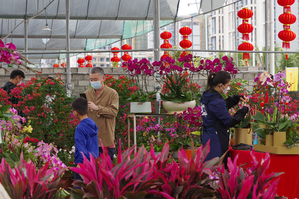 1月8日上午，三亚第二届新春花市暨 2023 消费助农年货市集火热开市，吸引了三亚市民逛花市、买年花。