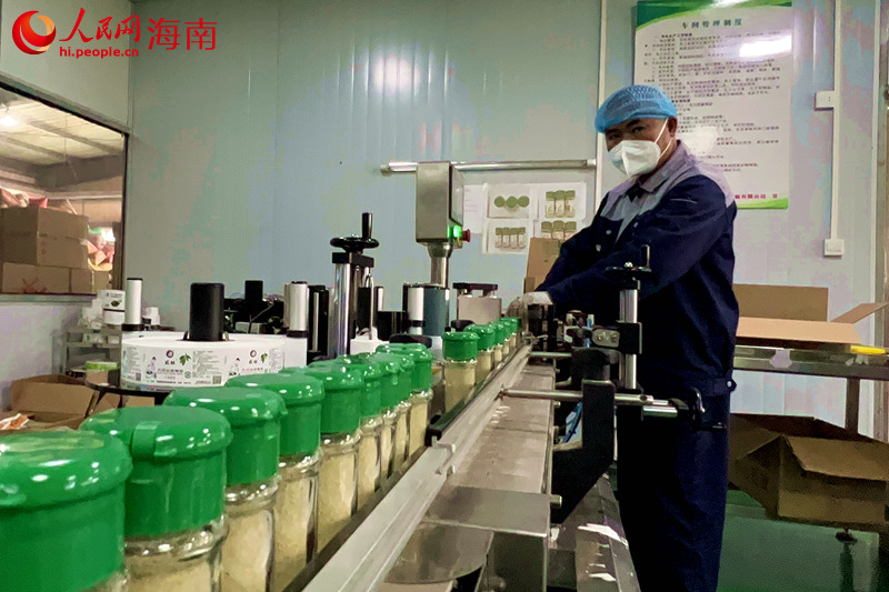 工人在生产线上检查胡椒产品。 人民网 孟凡盛摄