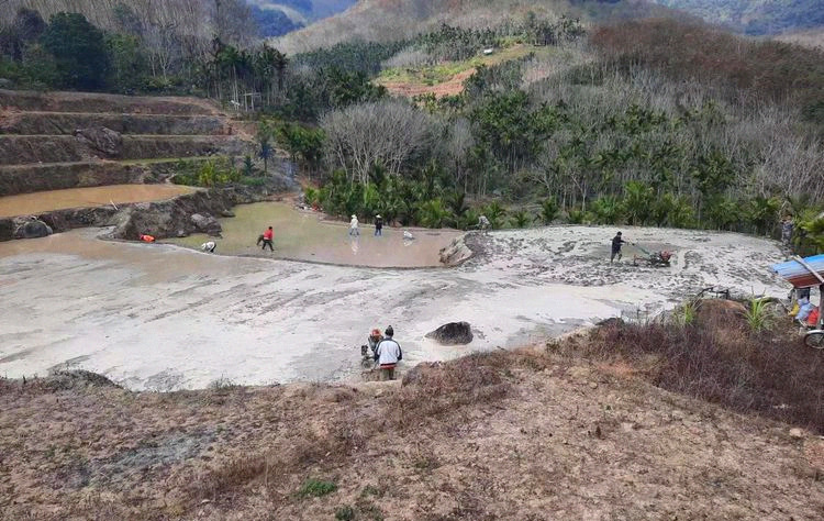 如今，在毛陽鎮的田間地頭，已處處可見春早人勤的農忙景象。許嘉杰攝