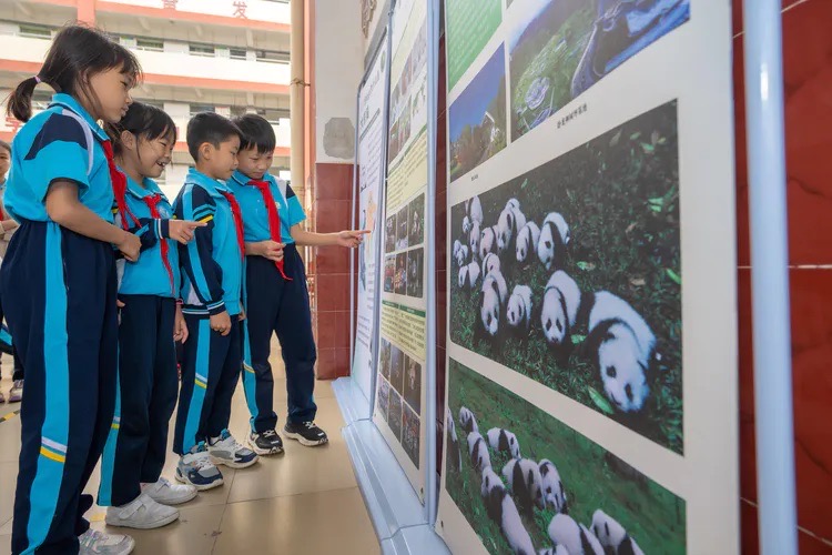 海口市東山鎮中心小學以大熊貓知識科普宣講活動為學生開啟新學期第一課。李冬林攝