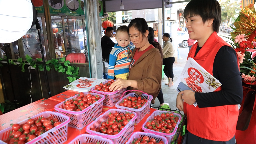 市民選購聖女果。胡雄飛攝