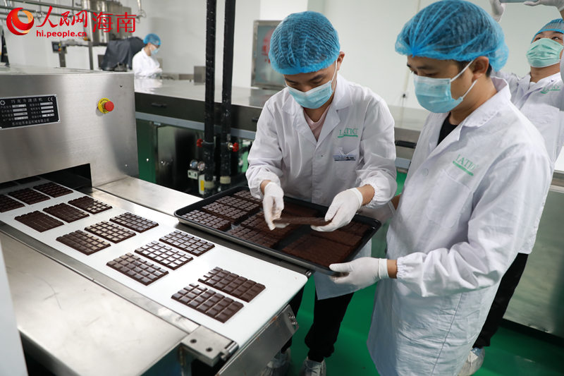 在加绿巧食品制造业（海南）有限责任公司，工作人员将制作好的巧克力整理出盘。 人民网 孟凡盛摄