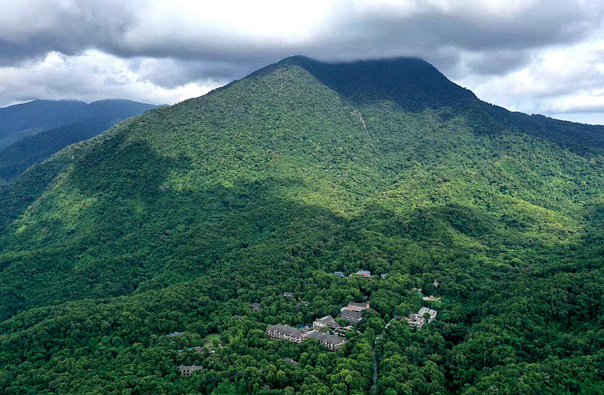 海南热带雨林国家公园五指山片区。卢刚摄