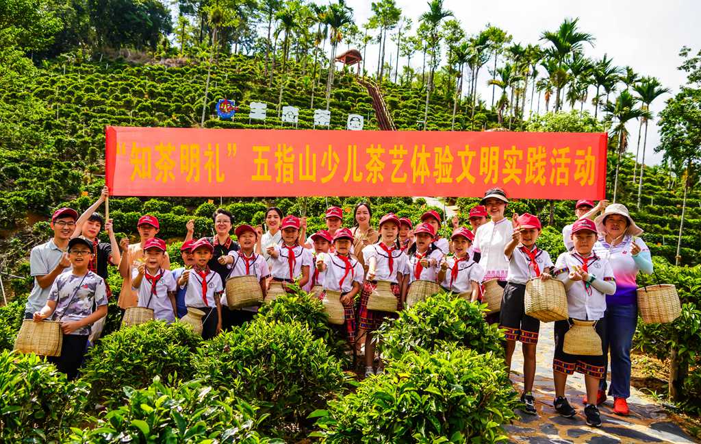 海南省五指山市组织开展“知茶明礼”少儿茶艺体验活动。付金城摄