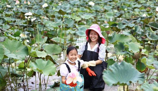 海口龍華舉辦2023濕地豐收節 "龍華好物"簽約訂單1320萬元
