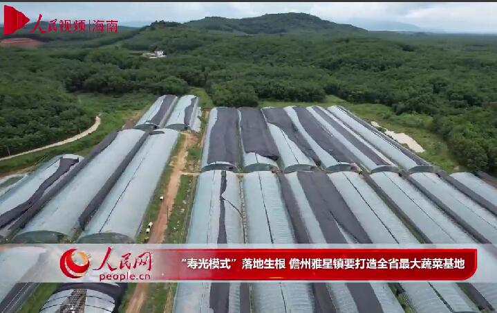 “壽光模式”落地生根 儋州雅星鎮要打造全省最大蔬菜基地