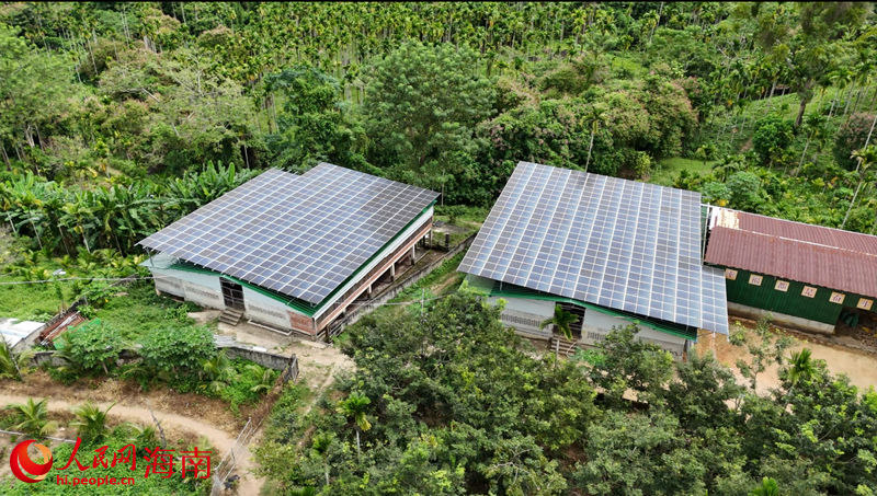 抱前村利用屋頂進行光伏發電，給村裡帶來收入。人民網記者 牛良玉攝