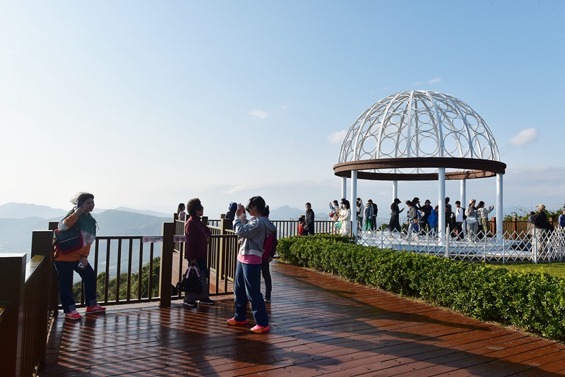 1月26日，寒假伊始，众多游客漫步在亚龙湾热带天堂森林旅游区赏花观景，登高望远，体验热带雨林游的乐趣，乐享暖冬三亚的美丽风光。黄庆优摄