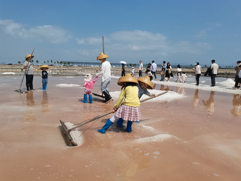 游客在莺歌海盐场体验收盐。人民网记者 毛雷摄