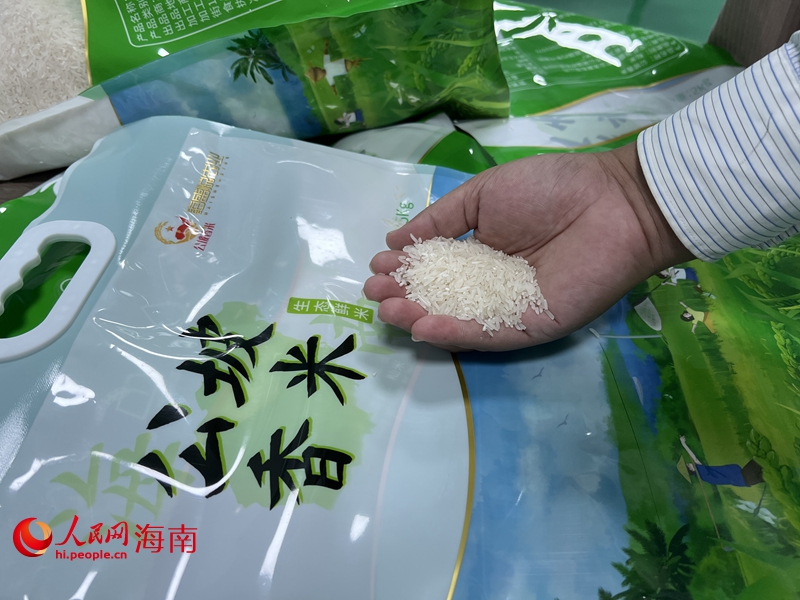 公坡香米已經成為當地鄉村振興新名片。人民網記者 李學山攝