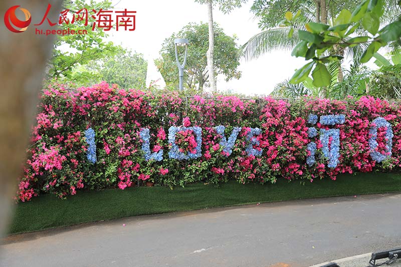 “I Love海口”花牆大型裝置。 人民網記者 孟凡盛攝
