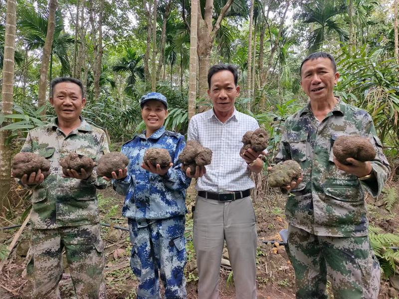 村民在种植基地里收获猴头菇。李俊杰供图
