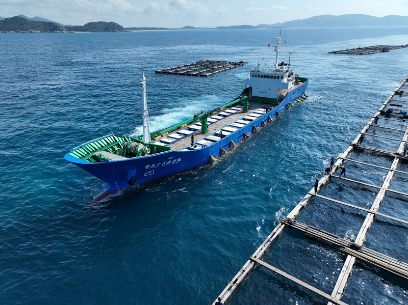 日本船舶靠泊裝運魚苗。符開雄攝