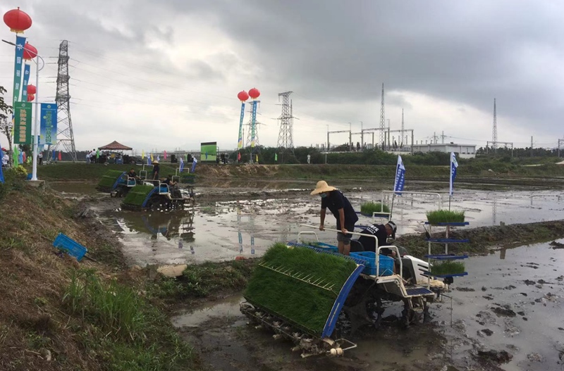 海南三亚，种业CRO企业在“帮科学家种地”。受访者供图