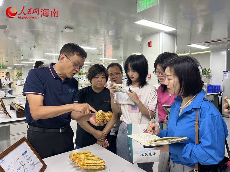 隆平生物技术（海南）有限公司总经理吕玉平(左一)介绍该公司玉米育种情况。人民网记者 李学山摄