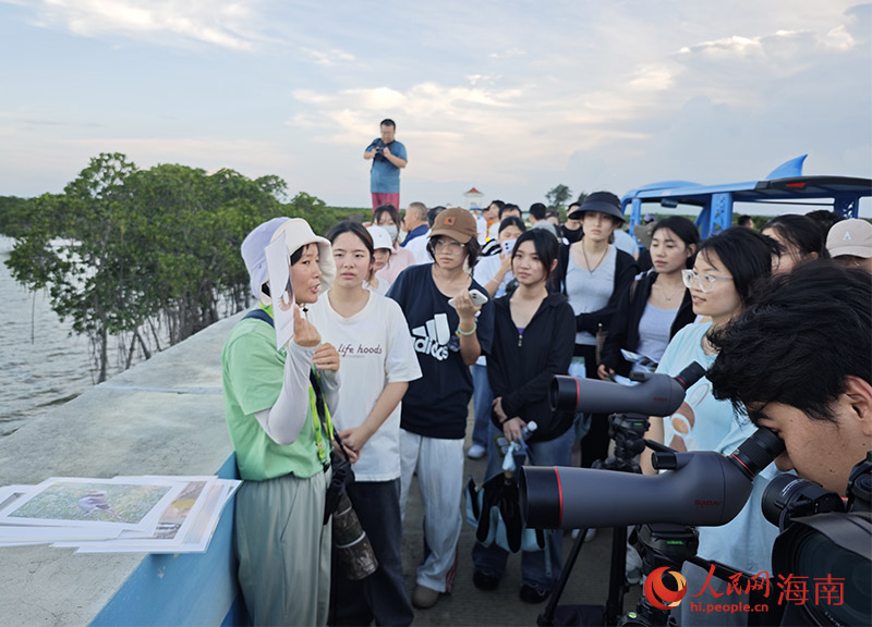 一支由大学生组成的观鸟队，正在观鸟道观鸟。人民网记者 牛良玉摄