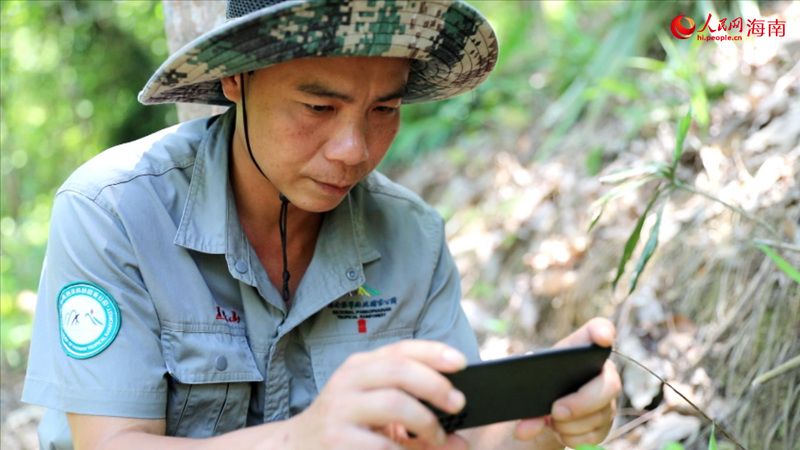 护林员王家任在巡林中拍照记录，守护每一片雨林的自然之美。人民网记者 孟凡盛摄