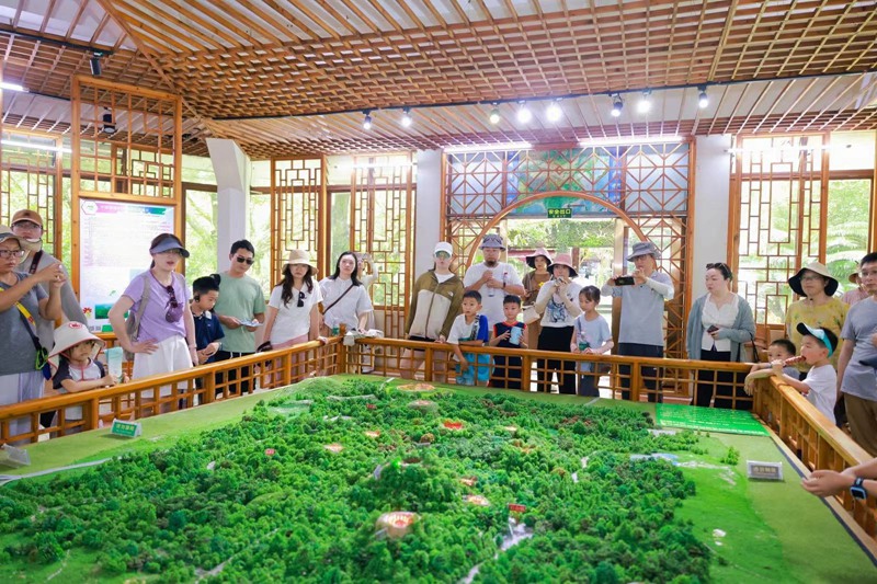 採風團隊在海口火山口公園了解火山的形成過程及特點。海口市委網信辦供圖