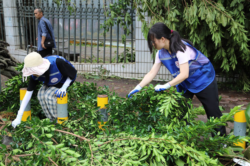 青年志願者隊投入恢復一線。 共青團海口市委員會供圖