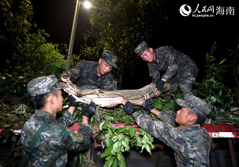 武警海南总队海口支队的官兵正在清理粗壮的树干。人民网记者 符武平摄.JPG