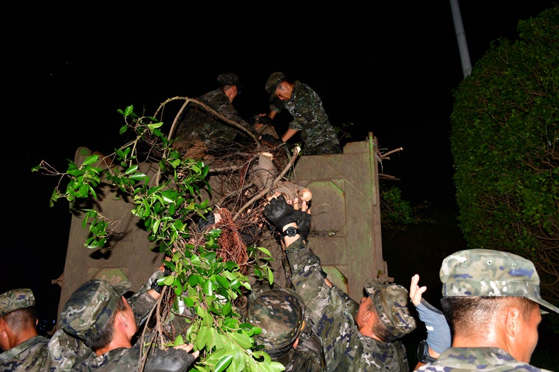 在灾后重建工作中，武警海口支队官兵往货车上装载断木。何应腾摄