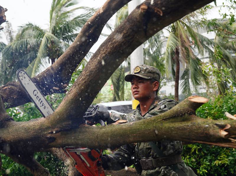 武警海口支队官兵正在清理被风吹倒的树木。袁琳松摄