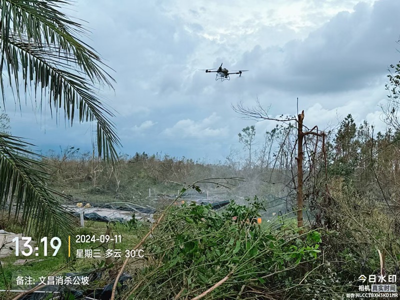 無人機在執行消殺任務。海南省農業農村廳供圖