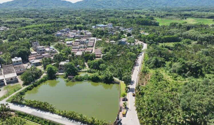 屯昌县南吕镇和美乡村——佳塘村