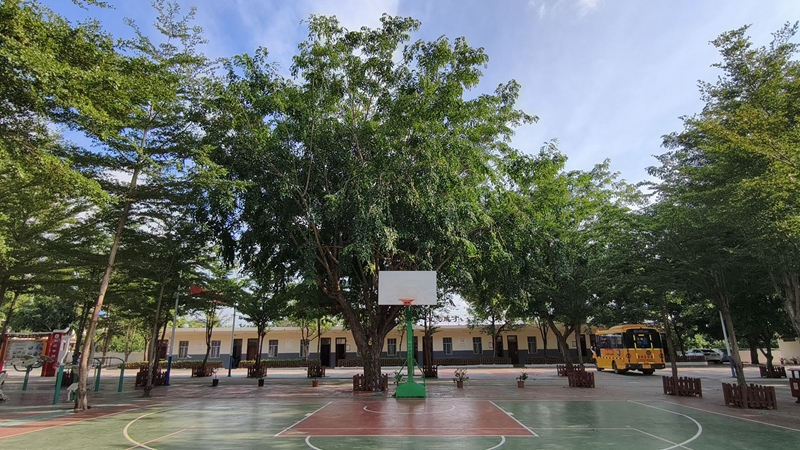 眉报小学升级改造，教学设施显著改善。符泽民摄