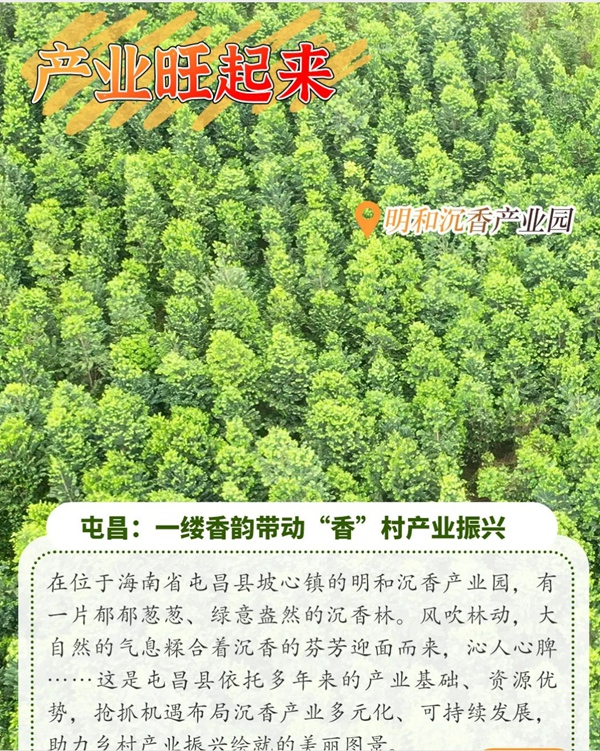 请查收海南美丽乡村蝶变记