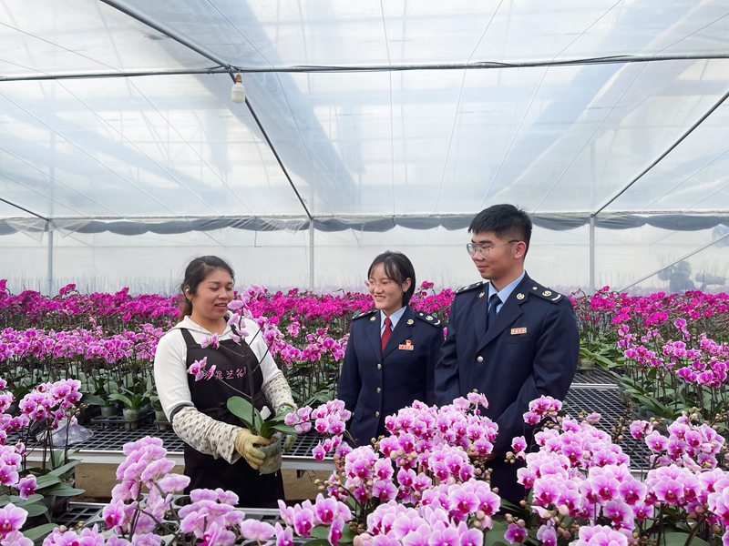 图说：税务干部走访花卉种植企业，了解生产经营情况，问计问需，助力年宵花卉红火上市。摄影：陈晨