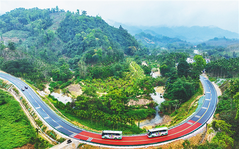 环热带雨林国家公园旅游公路观光巴士发车