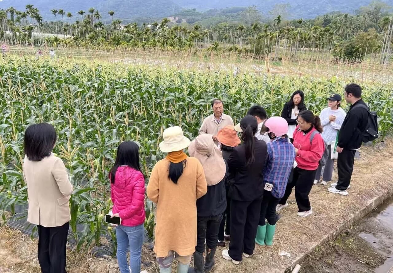 开云体育吉阳区2025年第一季度农业经济实现“开门红” 农林牧渔业增加值达536亿元(图1)